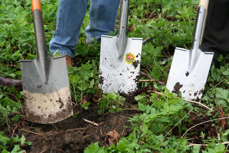 pepiniere-BEAUSOLEIL-min_work-lawn-flower-tool-green-backyard-1103633-pxhere.com